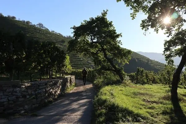 Poznej Rakousko s Herz – 1. Wachau