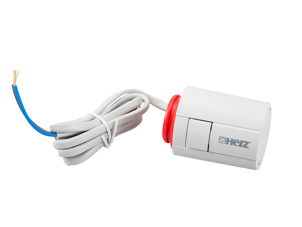 Elektronická regulace