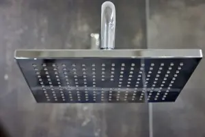 a09 - sprcha hlavová