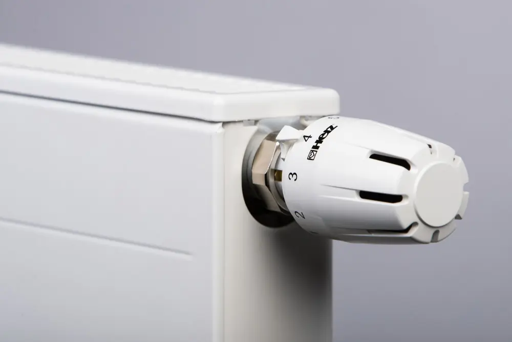 Termostatická hlavice M30 'Project'