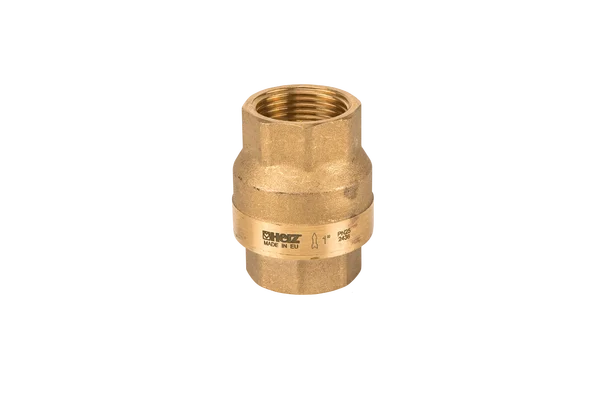 Zpětná klapka pružinová